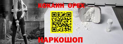 индика Лесосибирск