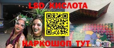 индика Лесосибирск