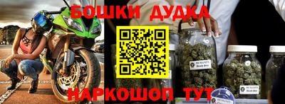 индика Лесосибирск
