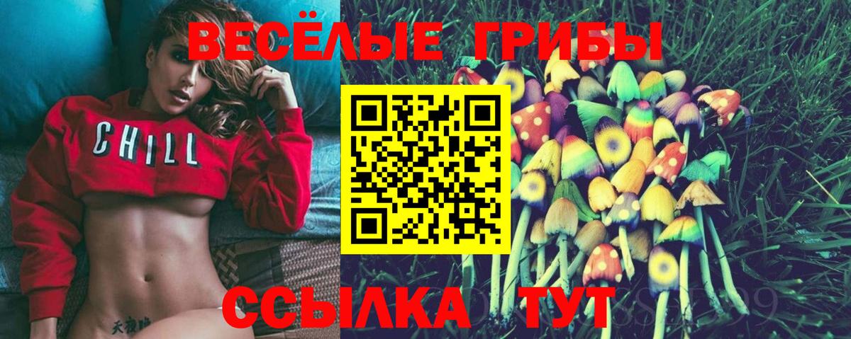 Alpha PVP Горно-Алтайск