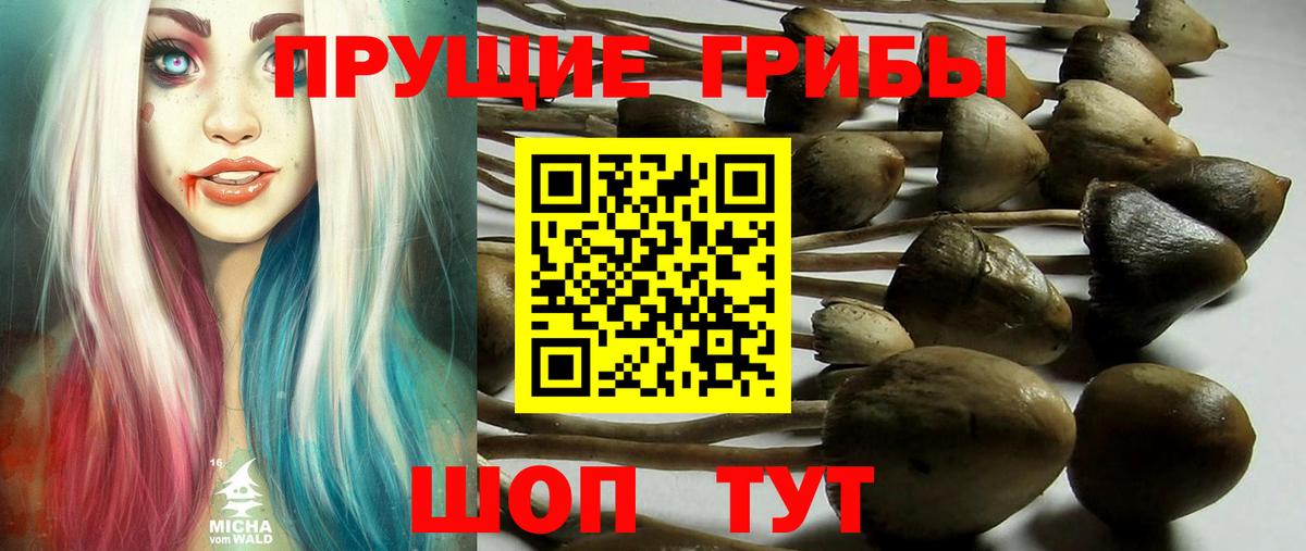 Галлюциногенные грибы MAGIC MUSHROOMS Горно-Алтайск
